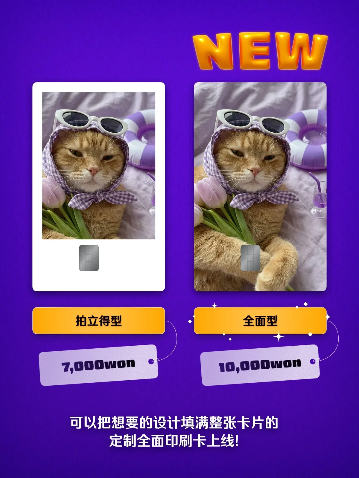 全尺寸款卡片设计 2
